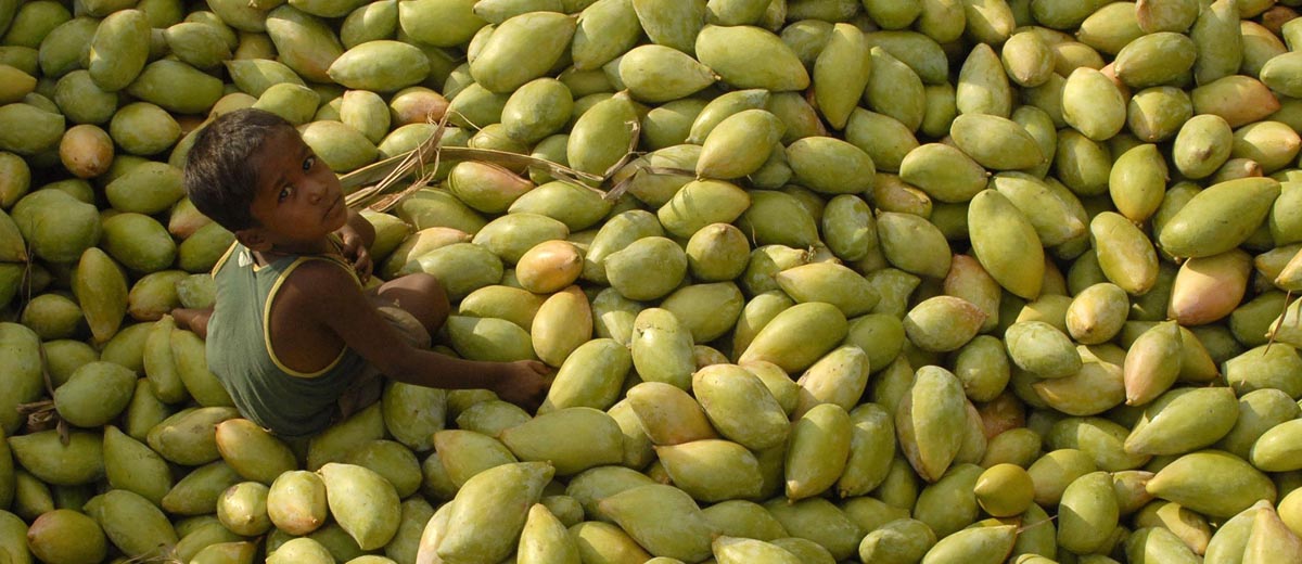 आम के नाम