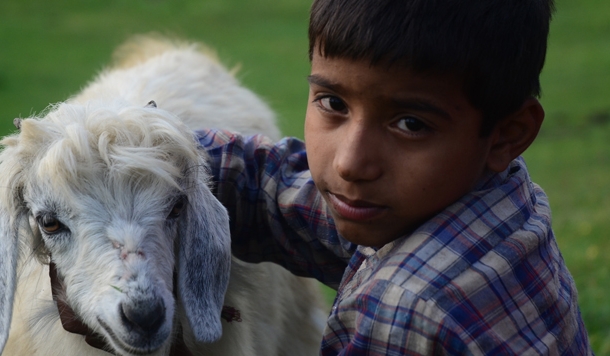 पहाड़ी भात-दाल और काले बिस्कुट यानी मड़वे की रोटी को याद करते हुए