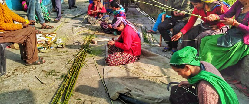 रिंगाल उत्तराखण्ड की बहुउपयोगी वनस्पति