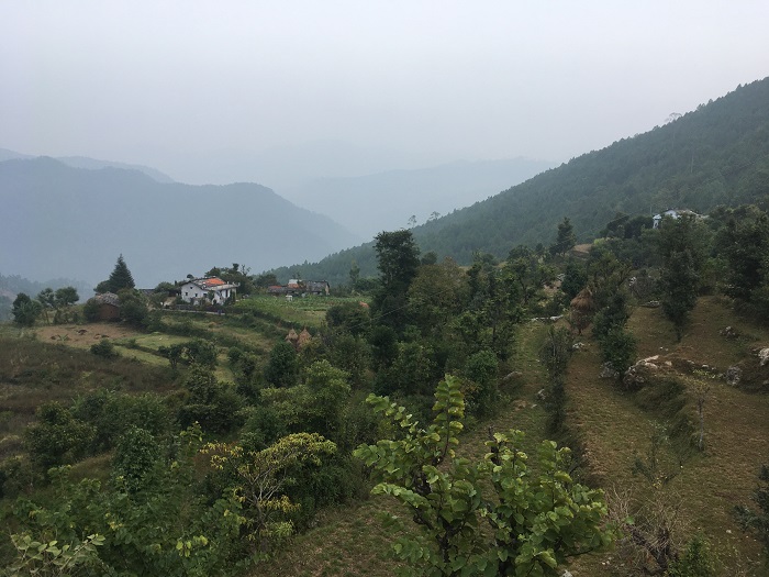 Migration from Dabri village of Champawat