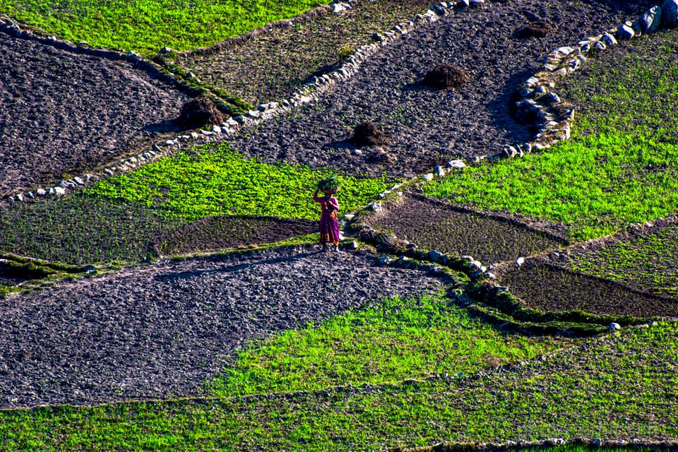 Photos of Uttarakhand