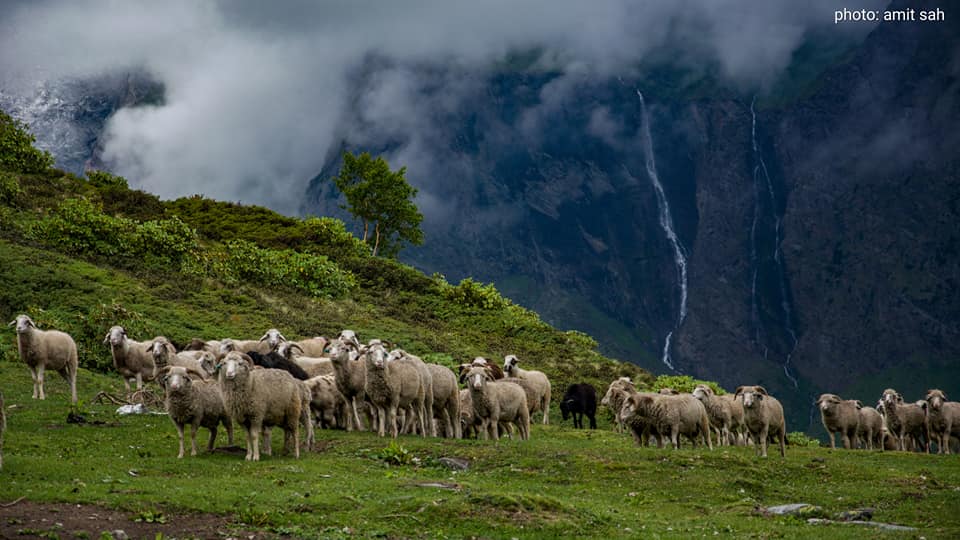 Photos of Uttarakhand