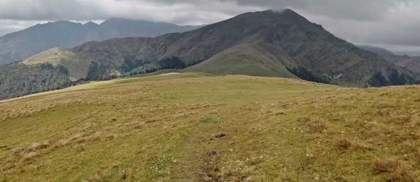 रूपकुंड यात्रा मार्ग पर स्थित मखमली घास वाला आली बुग्याल