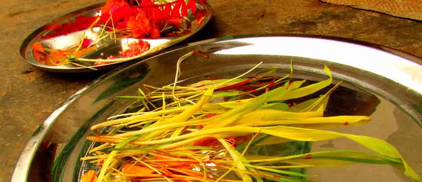 हरेला पर लिखो और उपहार पाओ