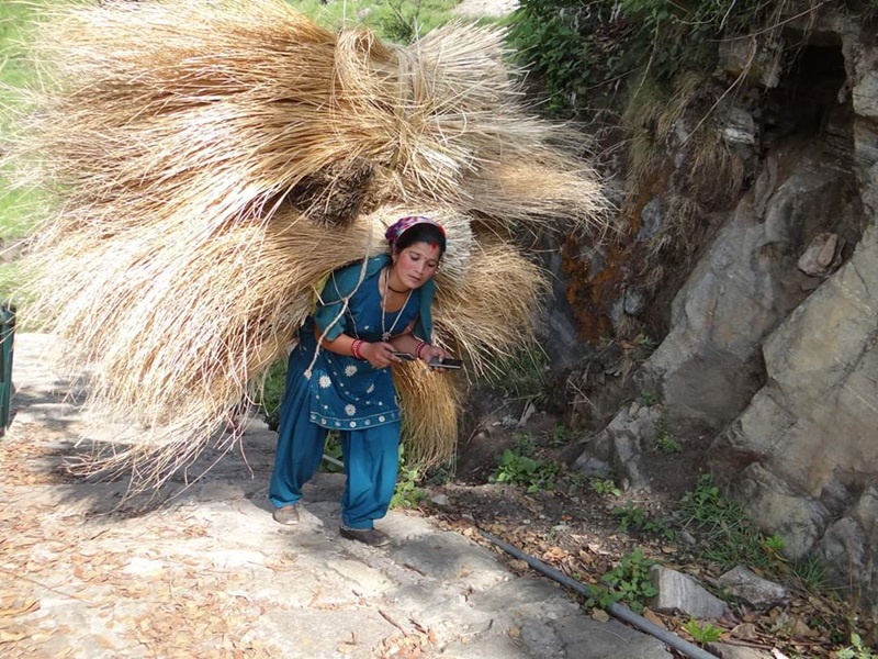 Column by Prayag Singh Rawat